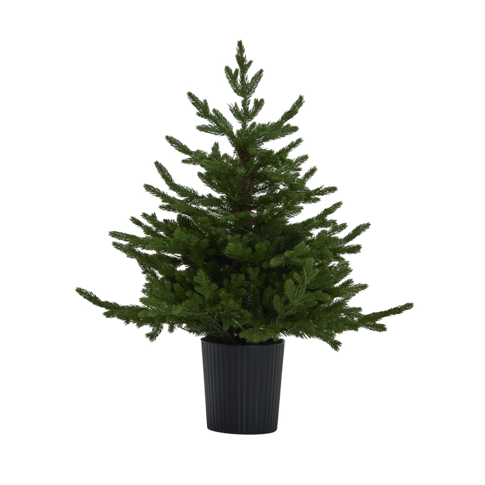 Rennington Pre-Lit Potted Christmas Tree