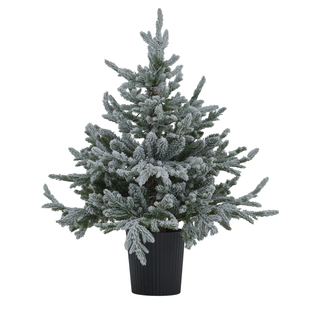 Coanwood Pre-Lit Snowy Christmas Tree In Pot