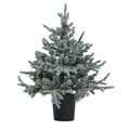 Coanwood Pre-Lit Snowy Christmas Tree In Pot