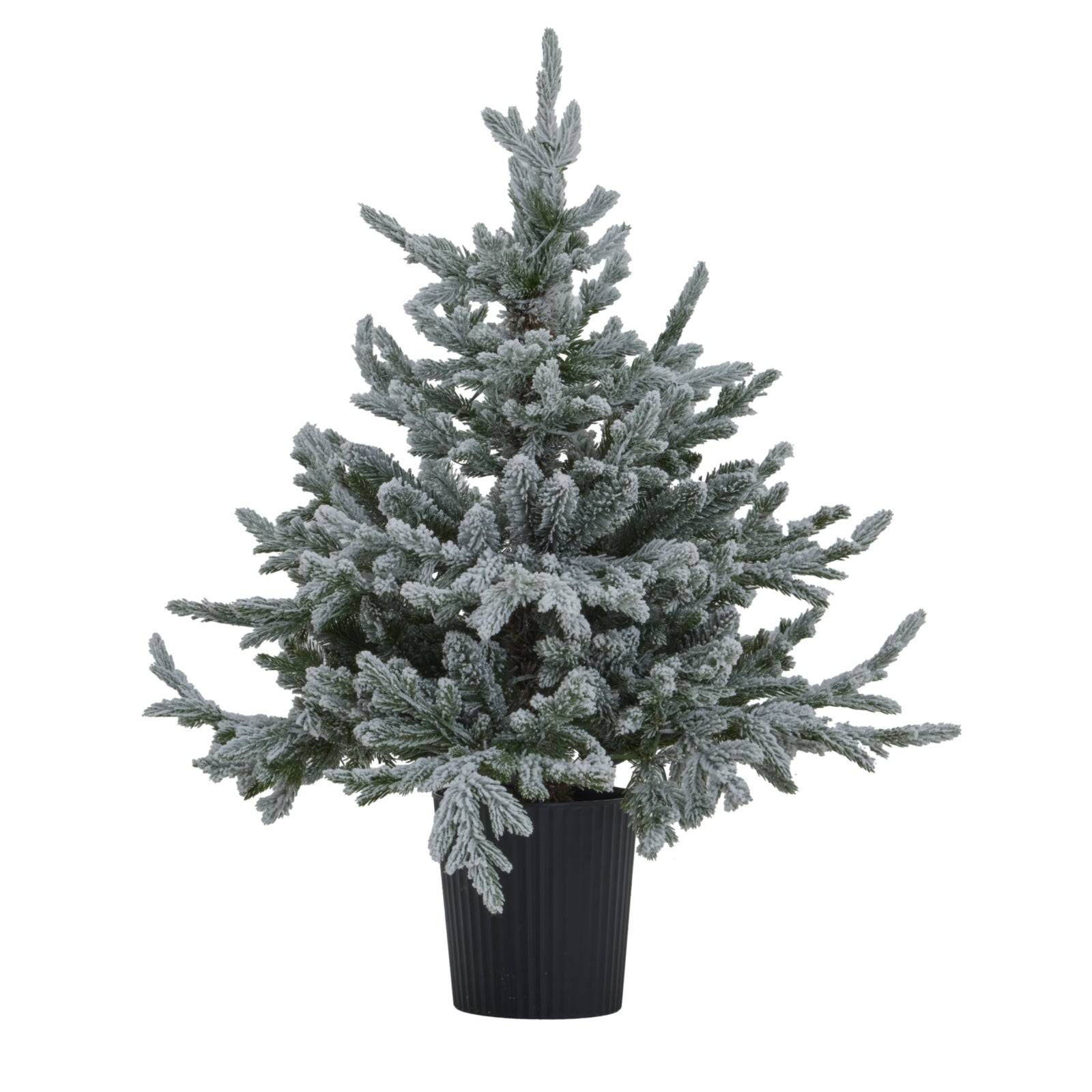 Coanwood Pre-Lit Snowy Christmas Tree In Pot