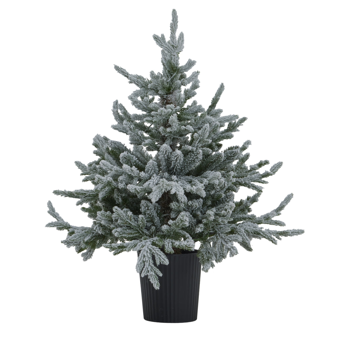 Coanwood Pre-Lit Snowy Christmas Tree In Pot