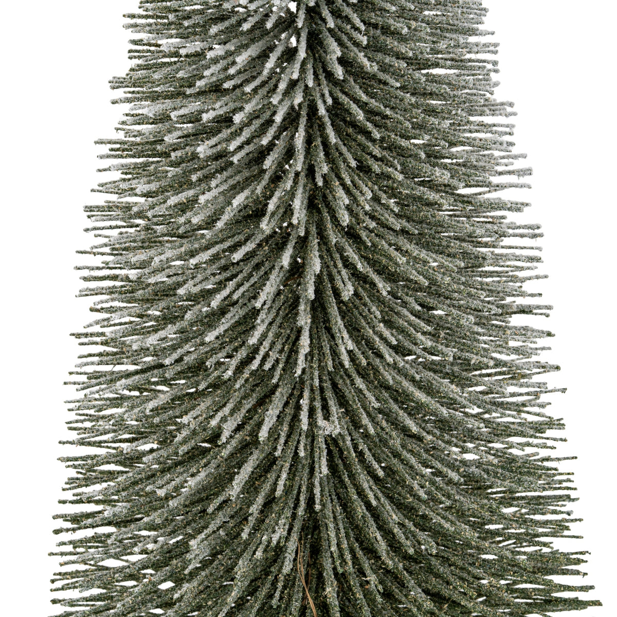 Stannersburn Large Bristle Brush Tree