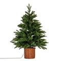 Ryal Pre-Lit Fir Tree in Rattan Pot