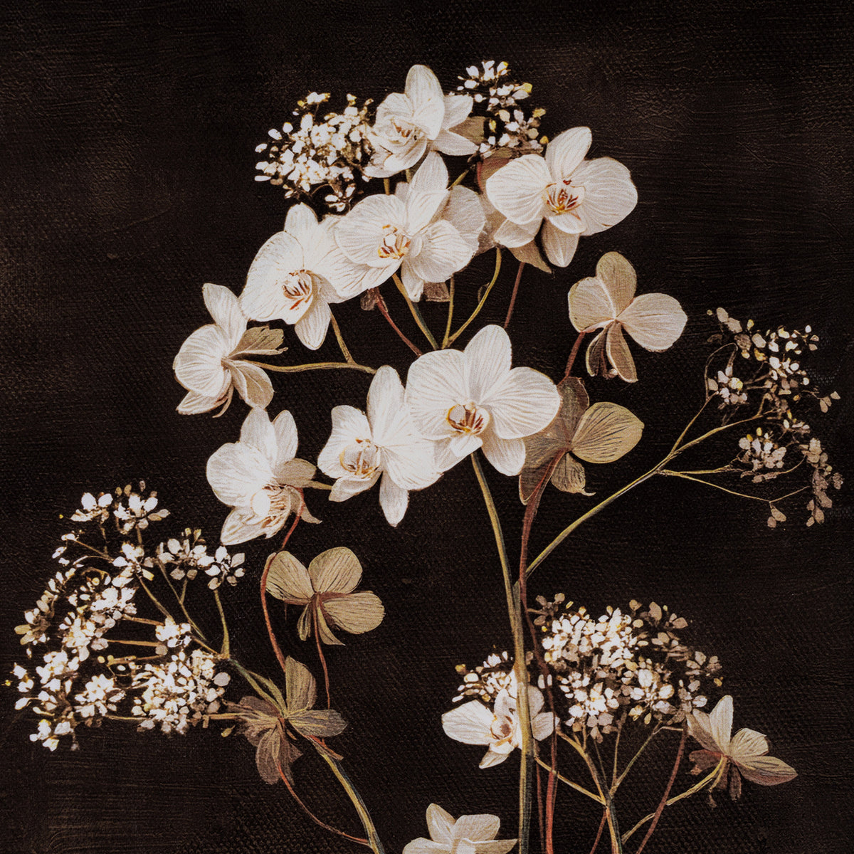 Bomarsund Four Botanicals Framed Wall Art