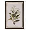 Brunton White Wildflower Framed Art On Linen