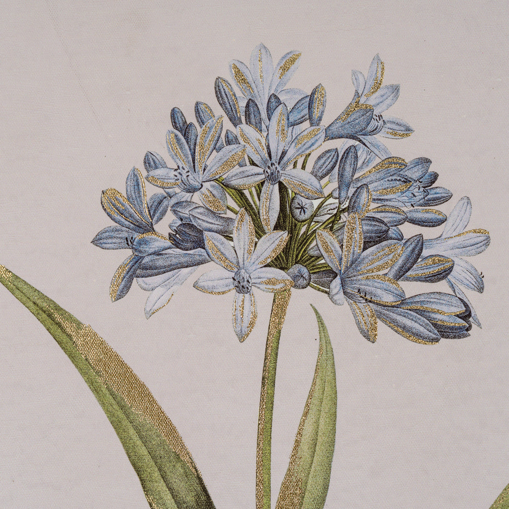 Burradon Blue Wildflower Framed Art