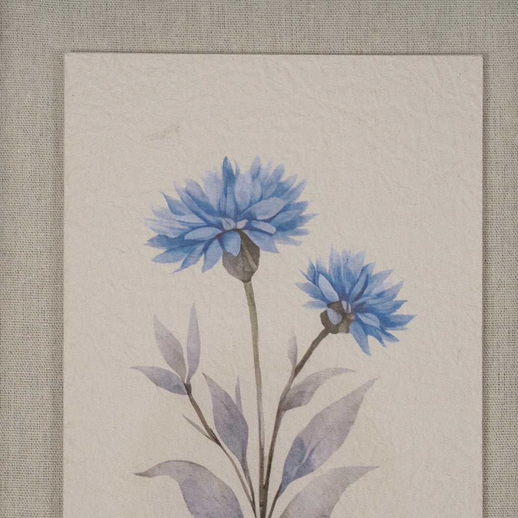 Byrness Textured Paper Cornflower In Mirrored Frame