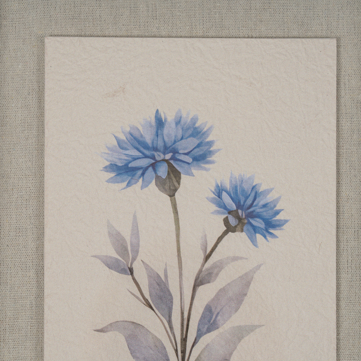 Byrness Textured Paper Cornflower In Mirrored Frame