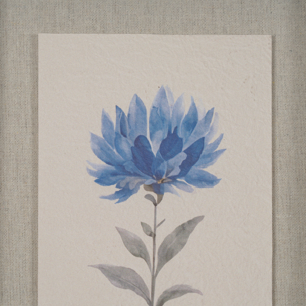 Cartington Textured Paper Dahlia In Mirrored Frame