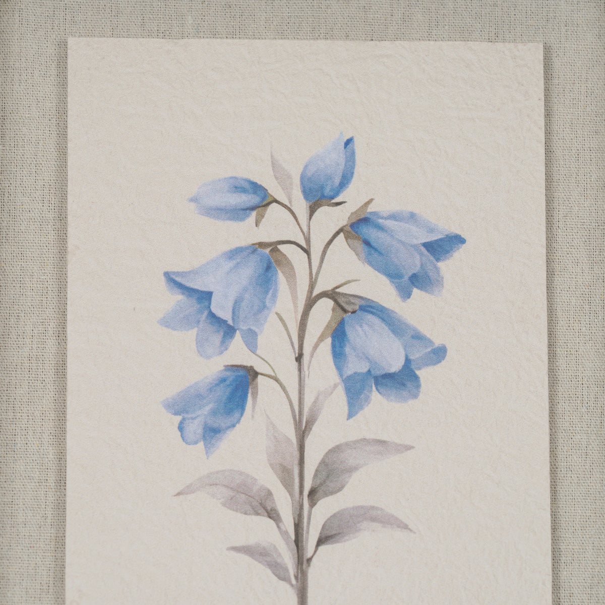 Chesterwood Textured Paper Bluebell In Mirrored Frame