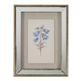 Chesterwood Textured Paper Bluebell In Mirrored Frame