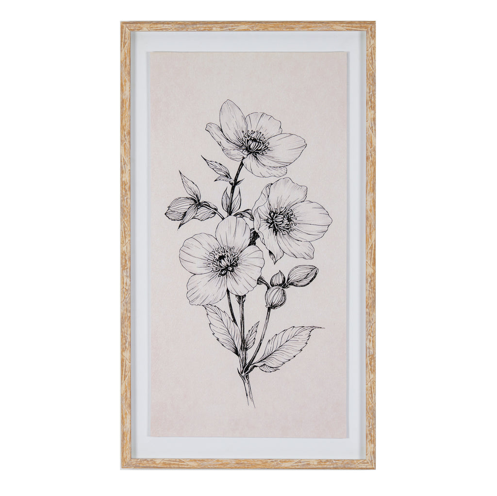 Sketchbook Hellebore in Frame