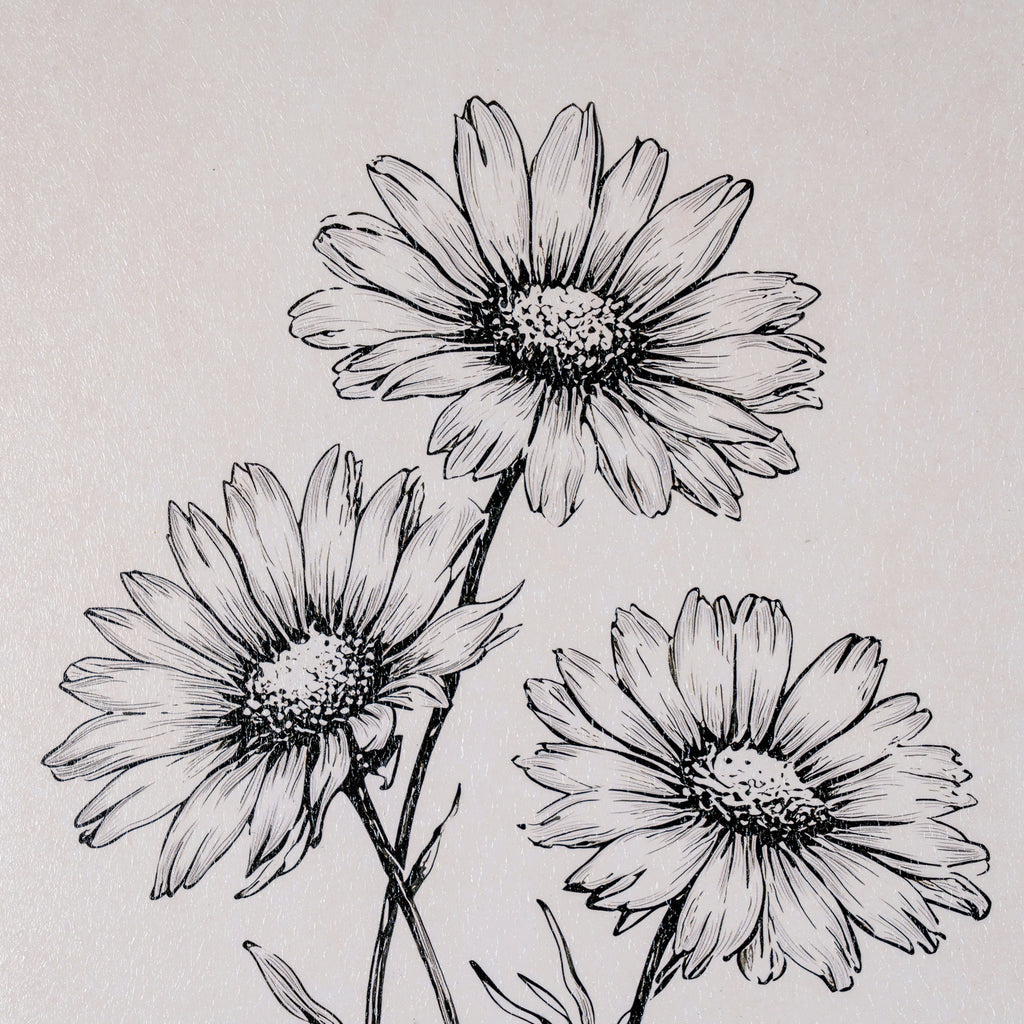 Sketchbook Daisies in Frame