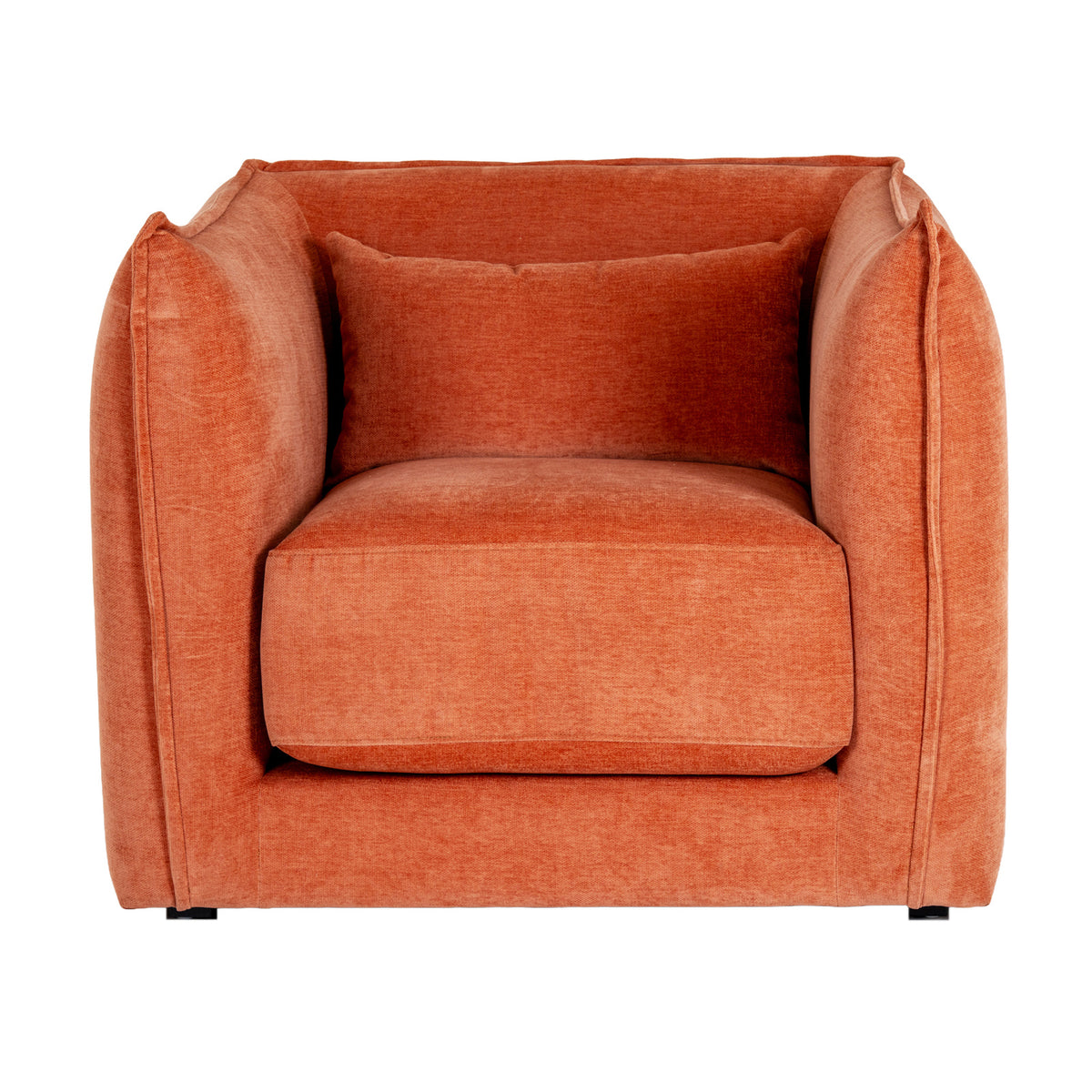 Guyzance Wood Frame Armchair With Cushion