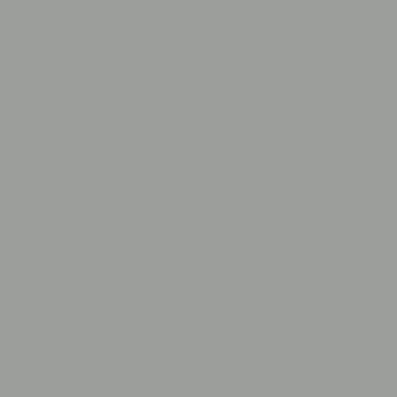 Ash Grey 54 — M&L Paints colour swatch