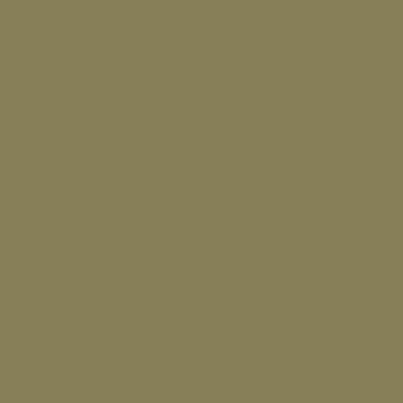 Dutch Green 41 — M&L Paints colour swatch
