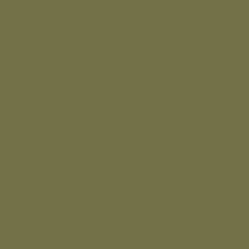 Light Olive 38 — M&L Paints colour swatch
