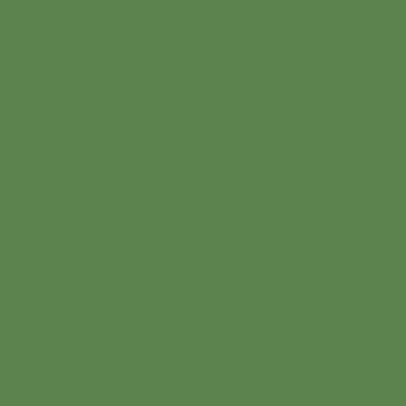 Wild Garlic 203 — M&L Paints colour swatch